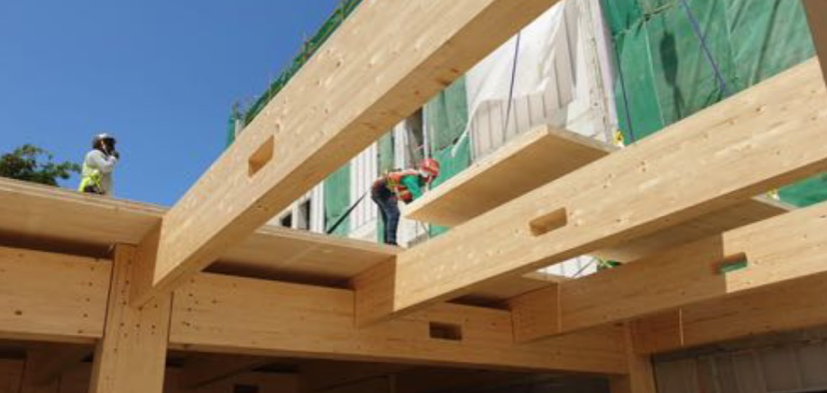 istallation of clt floor slabs