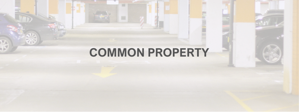 be-condo-savvy-common-property