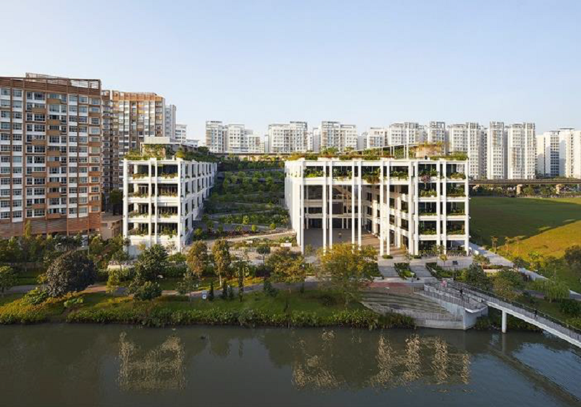Oasis Terrace