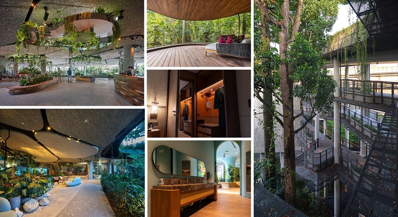 Collage of images of user-friendly features at Mandai Rainforest Resort