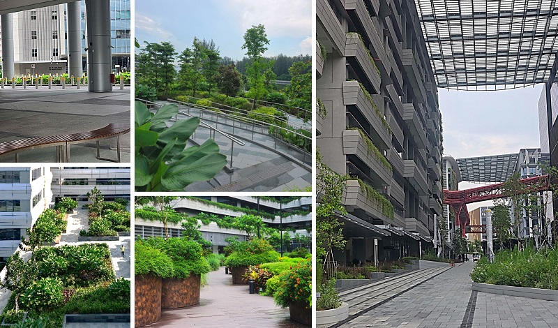 Collage of images of user-friendly features at SIT Campus Court